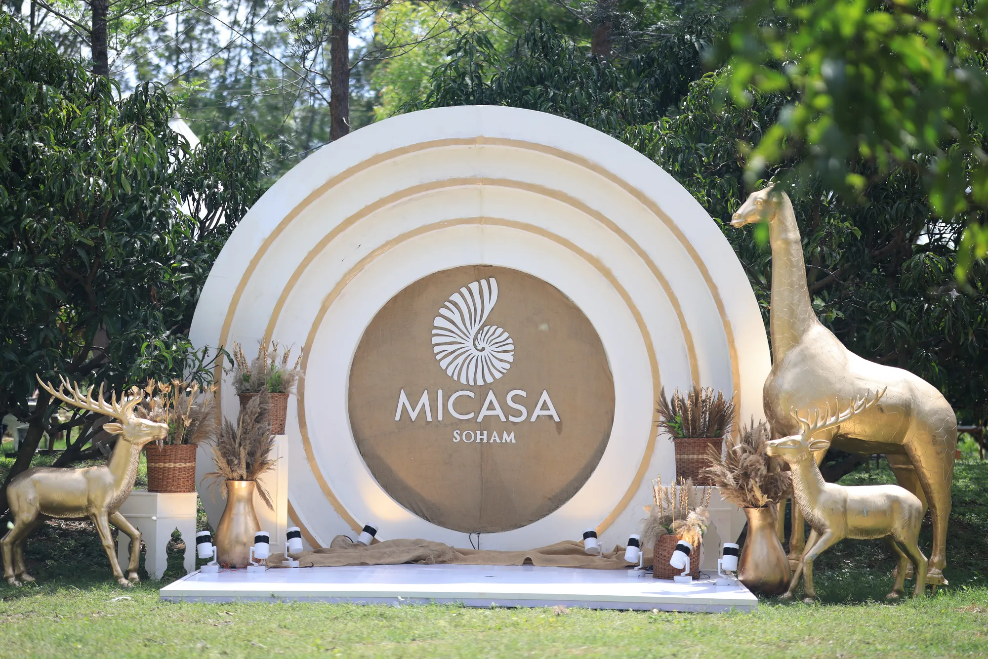 MICASA gallery frame 1